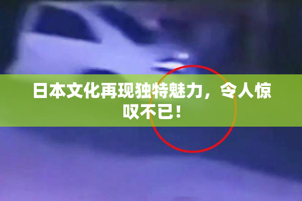 日本文化再现独特魅力，令人惊叹不已！
