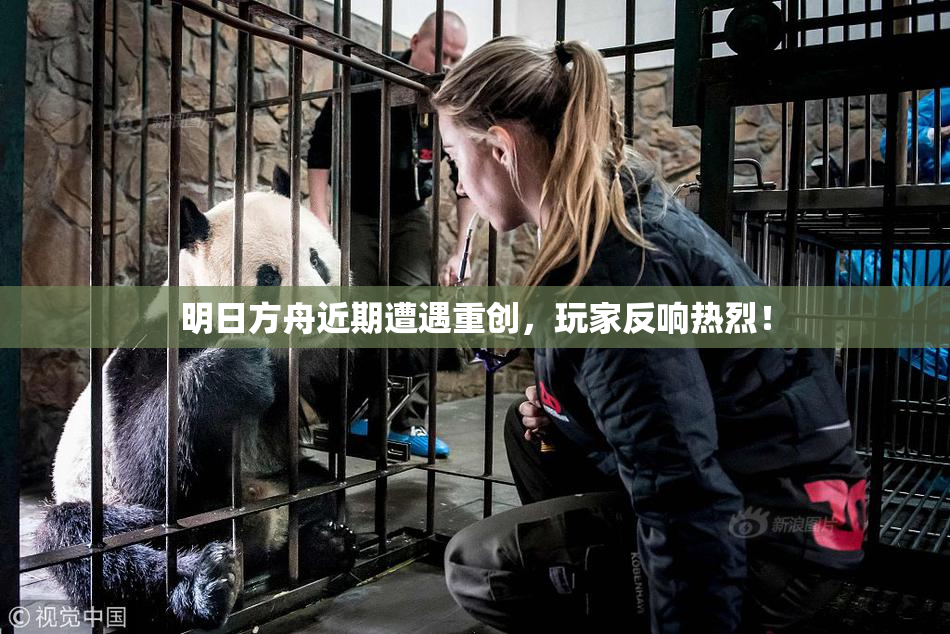 明日方舟近期遭遇重创，玩家反响热烈！