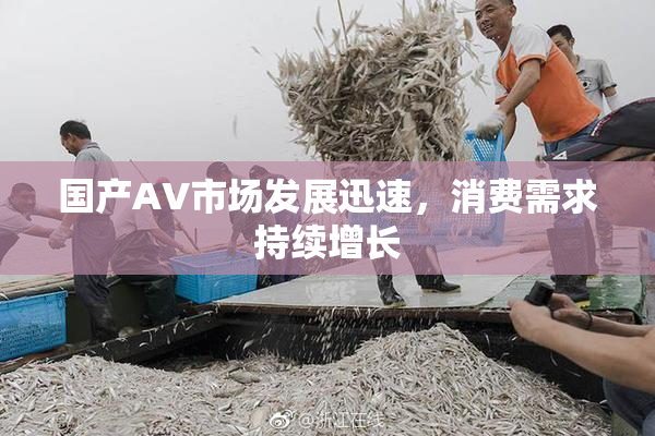 国产AV市场发展迅速，消费需求持续增长