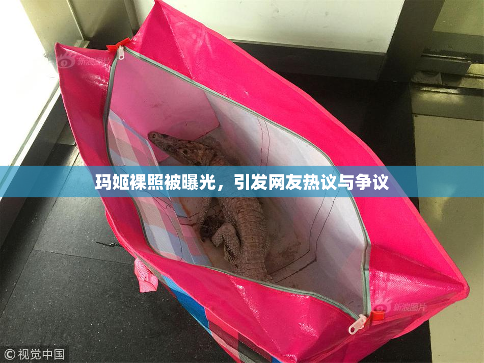 玛姬裸照被曝光，引发网友热议与争议