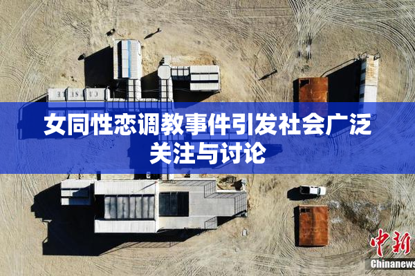 女同性恋调教事件引发社会广泛关注与讨论
