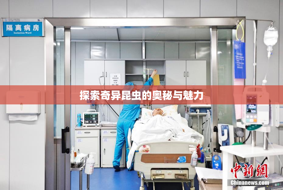 探索奇异昆虫的奥秘与魅力