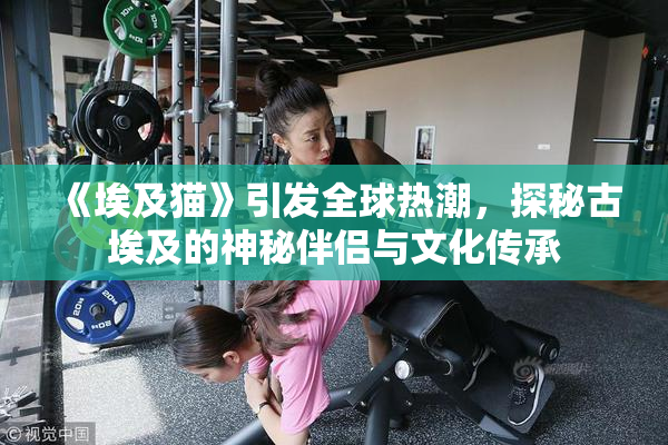 《埃及猫》引发全球热潮，探秘古埃及的神秘伴侣与文化传承