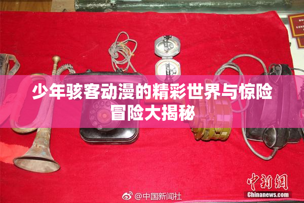 少年骇客动漫的精彩世界与惊险冒险大揭秘
