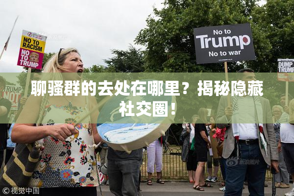 聊骚群的去处在哪里？揭秘隐藏社交圈！