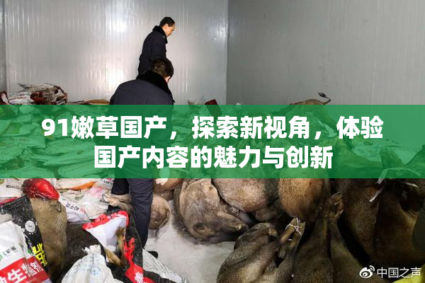 91嫩草国产，探索新视角，体验国产内容的魅力与创新