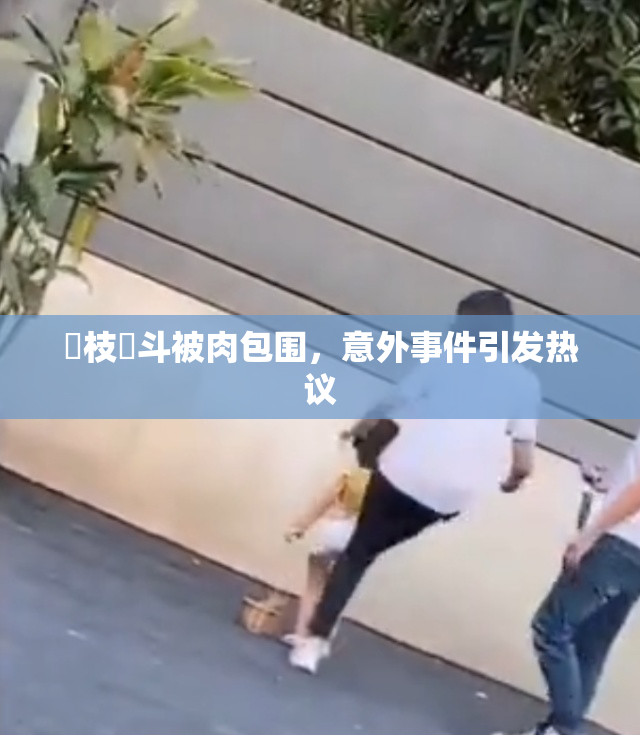狛枝凪斗被肉包围，意外事件引发热议