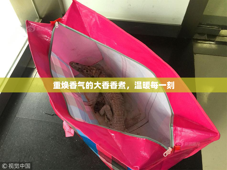 重焕香气的大香香煮，温暖每一刻