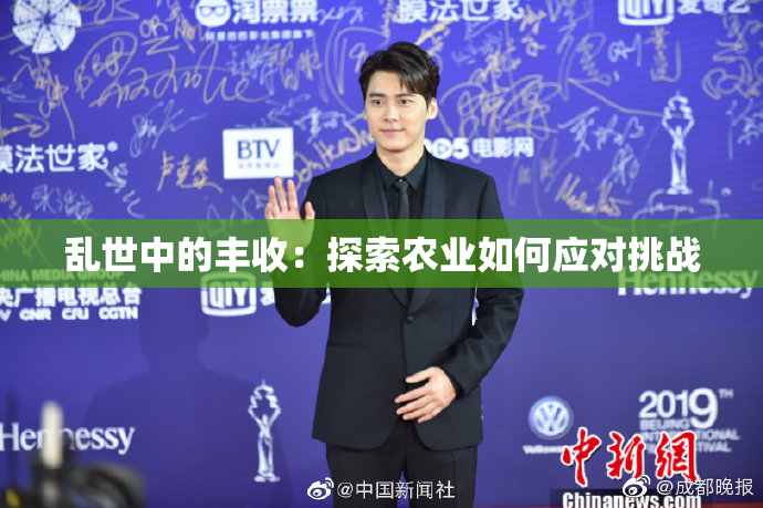 乱世中的丰收：探索农业如何应对挑战