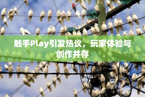 触手Play引发热议，玩家体验与创作并存