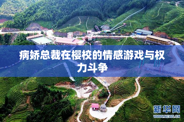 病娇总裁在樱校的情感游戏与权力斗争