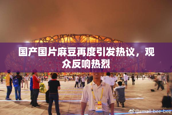国产国片麻豆再度引发热议，观众反响热烈