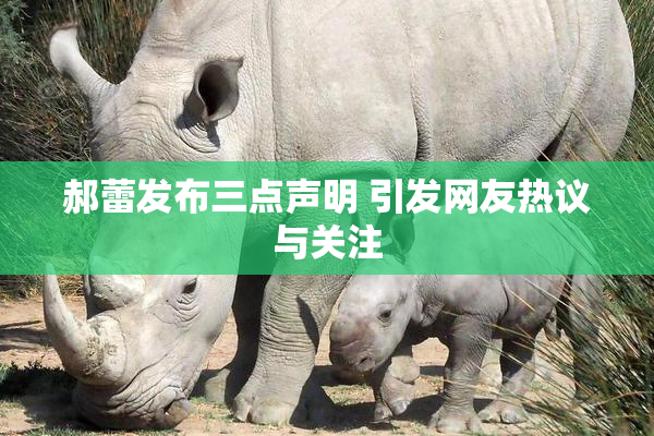 郝蕾发布三点声明 引发网友热议与关注