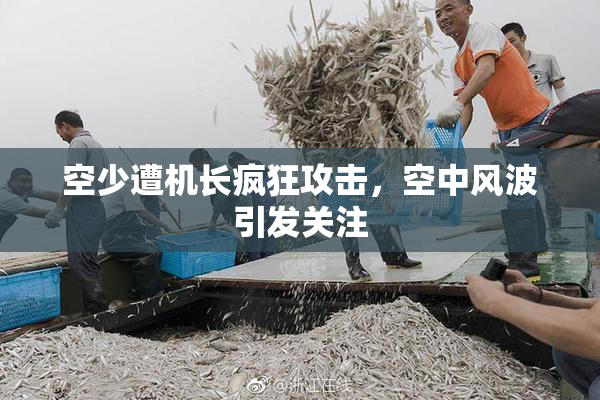 空少遭机长疯狂攻击，空中风波引发关注