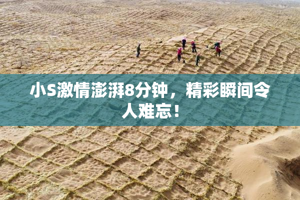 小S激情澎湃8分钟，精彩瞬间令人难忘！