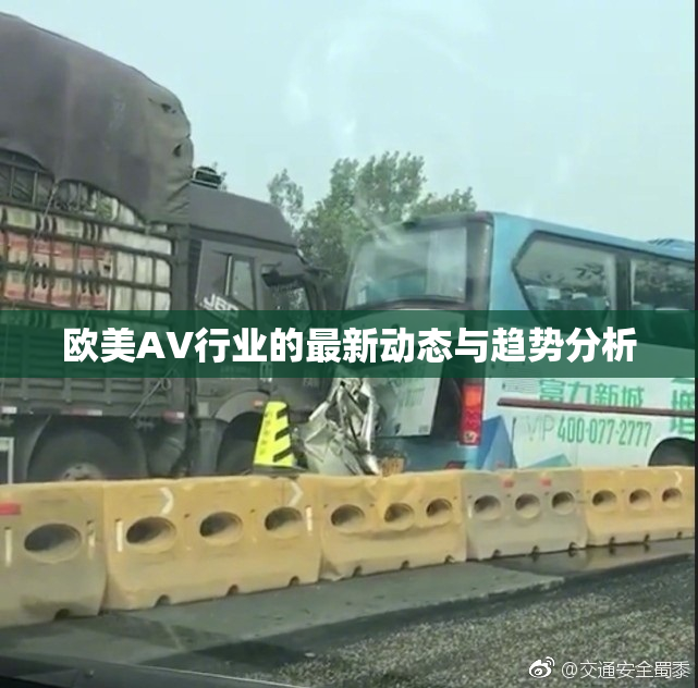 欧美AV行业的最新动态与趋势分析