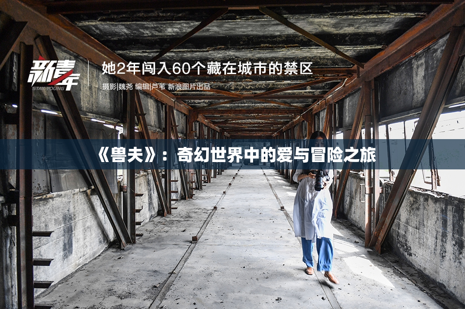 《兽夫》：奇幻世界中的爱与冒险之旅