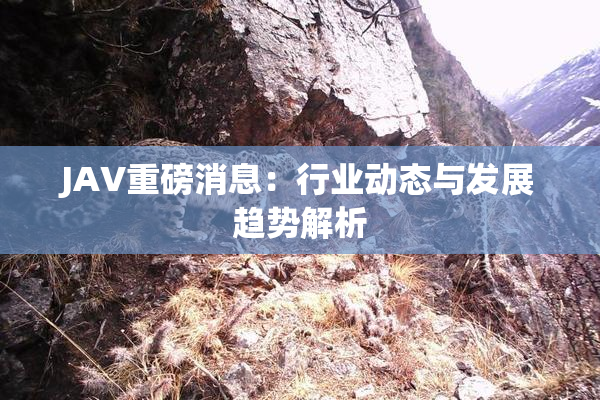JAV重磅消息：行业动态与发展趋势解析