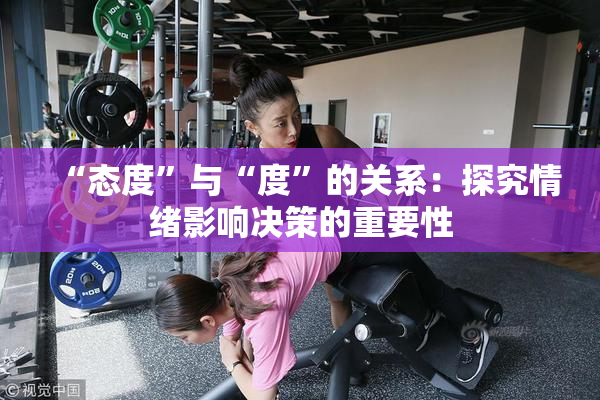 “态度”与“度”的关系：探究情绪影响决策的重要性