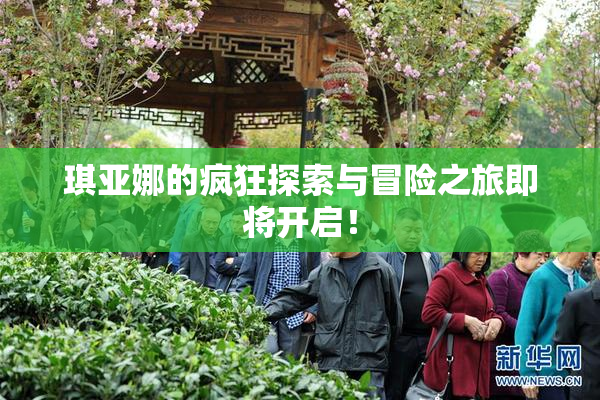琪亚娜的疯狂探索与冒险之旅即将开启！