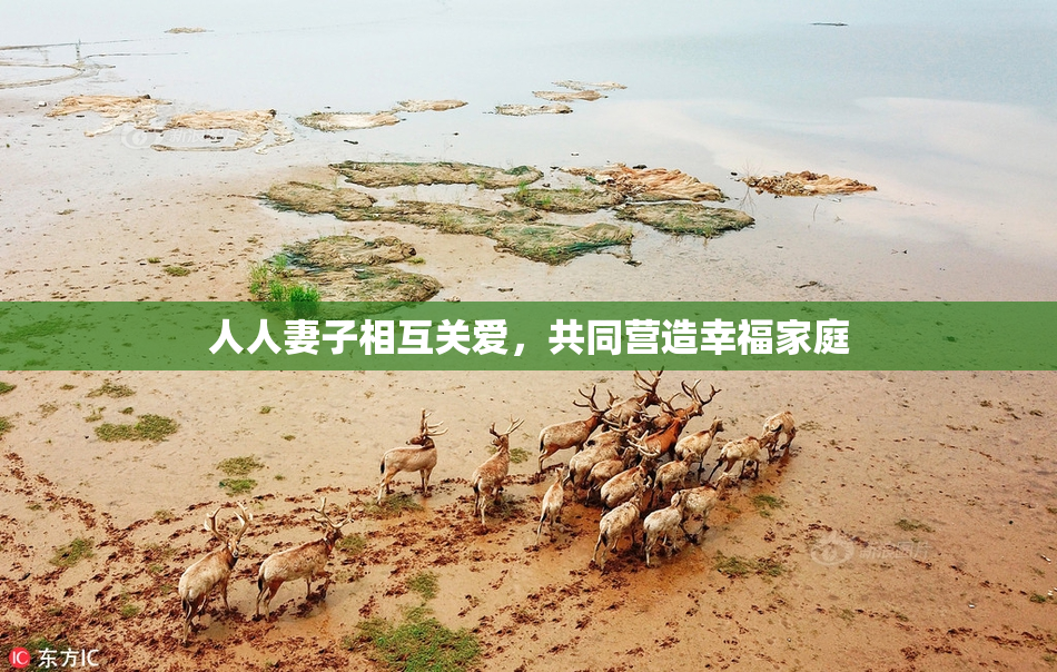 人人妻子相互关爱，共同营造幸福家庭