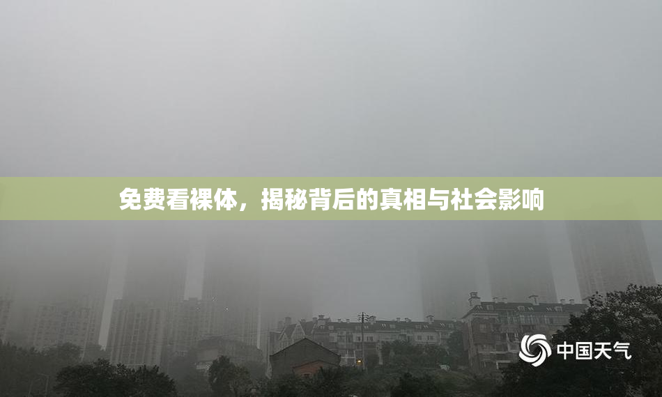 免费看裸体，揭秘背后的真相与社会影响