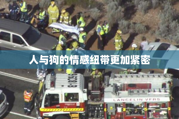 人与狗的情感纽带更加紧密