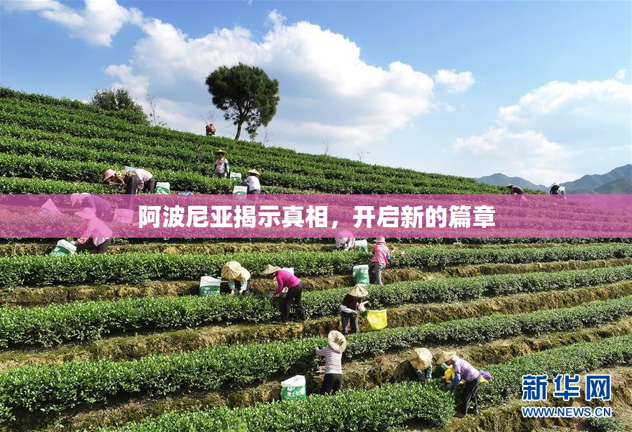 阿波尼亚揭示真相，开启新的篇章