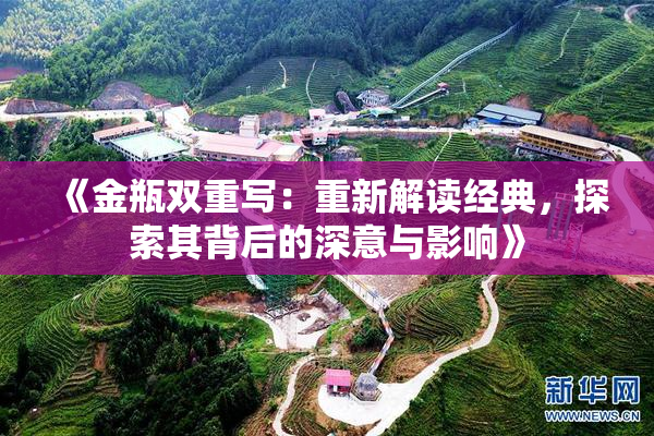 《金瓶双重写：重新解读经典，探索其背后的深意与影响》