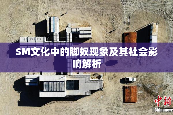 SM文化中的脚奴现象及其社会影响解析