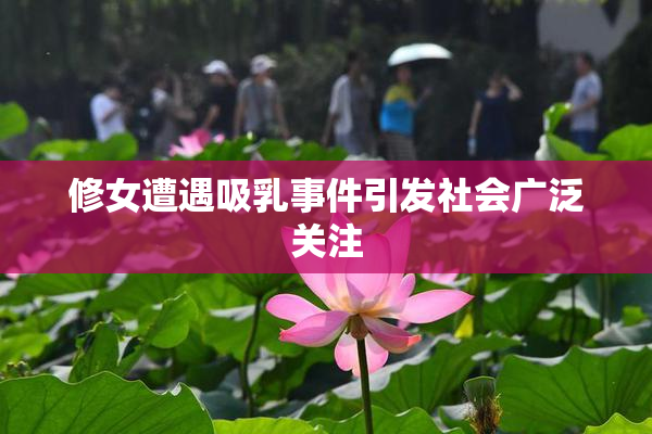 修女遭遇吸乳事件引发社会广泛关注