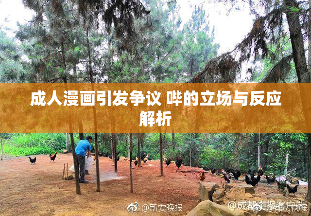 成人漫画引发争议 哔的立场与反应解析