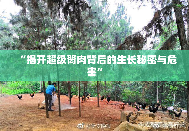 “揭开超级胬肉背后的生长秘密与危害”