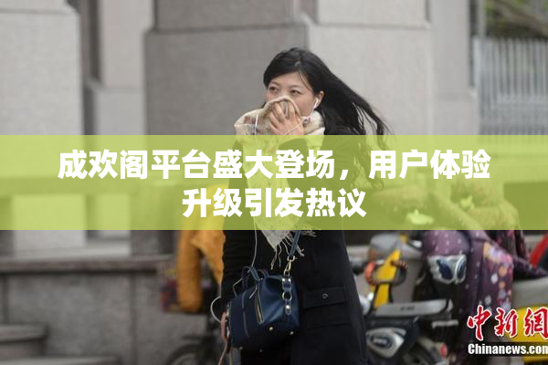 成欢阁平台盛大登场，用户体验升级引发热议