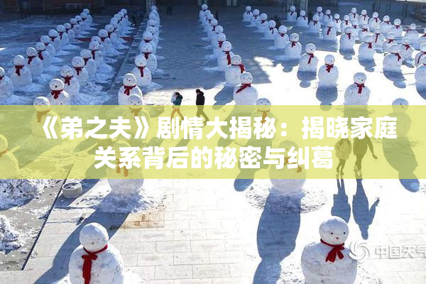 《弟之夫》剧情大揭秘：揭晓家庭关系背后的秘密与纠葛
