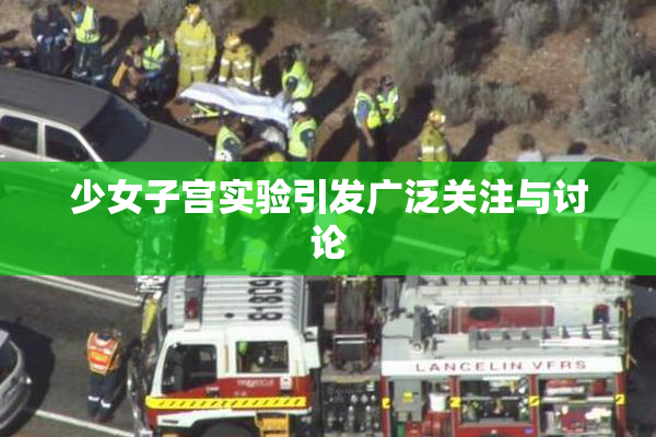 少女子宫实验引发广泛关注与讨论