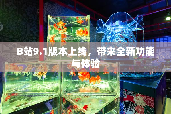 B站9.1版本上线，带来全新功能与体验