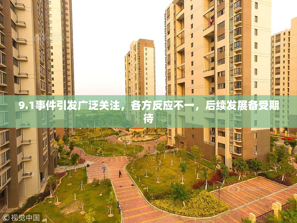 9.1事件引发广泛关注，各方反应不一，后续发展备受期待
