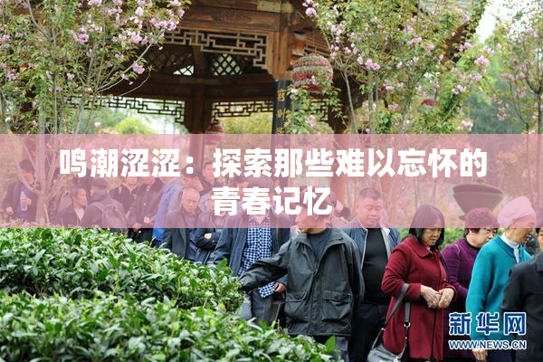 鸣潮涩涩：探索那些难以忘怀的青春记忆