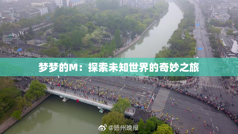 梦梦的M：探索未知世界的奇妙之旅