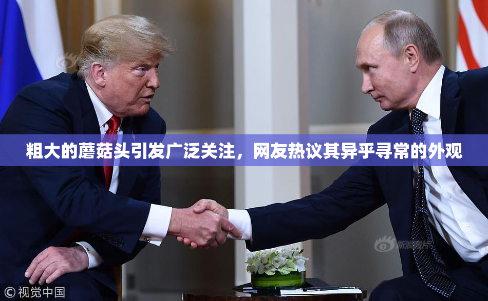 粗大的蘑菇头引发广泛关注，网友热议其异乎寻常的外观
