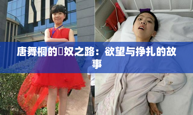 唐舞桐的婬奴之路：欲望与挣扎的故事