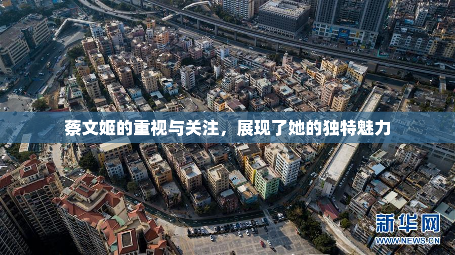蔡文姬的重视与关注，展现了她的独特魅力