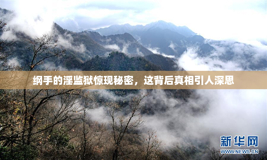 纲手的淫监狱惊现秘密，这背后真相引人深思