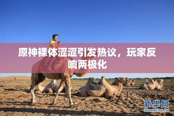 原神裸体涩涩引发热议，玩家反响两极化