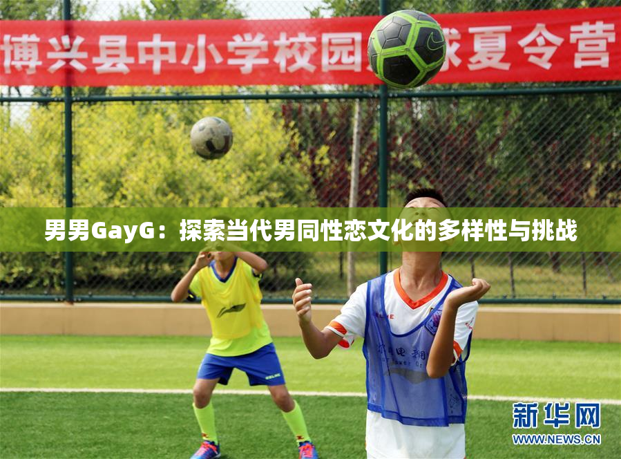男男GayG：探索当代男同性恋文化的多样性与挑战