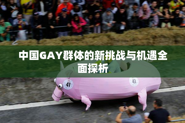 中国GAY群体的新挑战与机遇全面探析