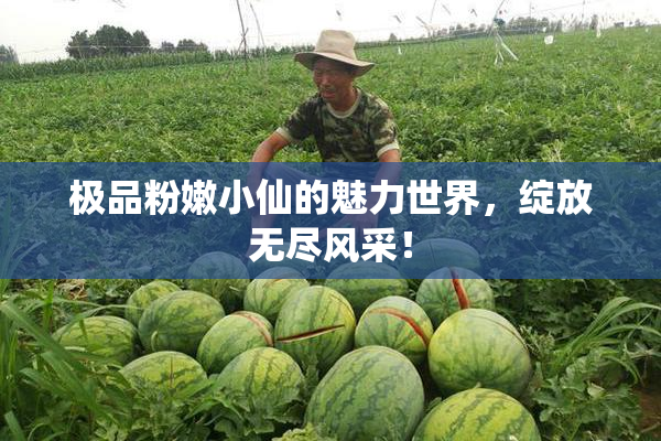 极品粉嫩小仙的魅力世界，绽放无尽风采！