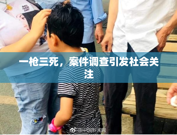 一枪三死，案件调查引发社会关注