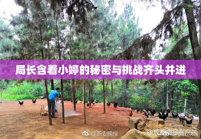 局长含着小婷的秘密与挑战齐头并进